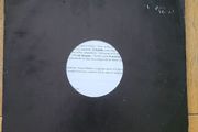 Echobelly I Cant Imagine A World Without Me 12 inch vinyl promo