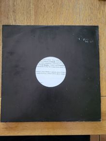 Echobelly I Cant Imagine A World Without Me 12 inch vinyl promo