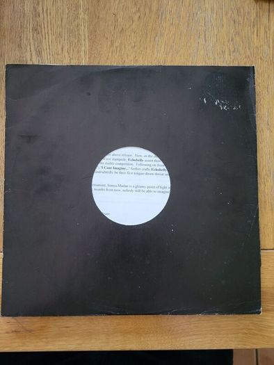 Echobelly I Cant Imagine A World Without Me 12 inch vinyl promo