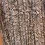 Primark  Dress.   S.20.  B.N.W.T. Image 4