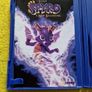 The Legend of Spyro A new beginning PlayStation2 Ps2 games Original Image 4