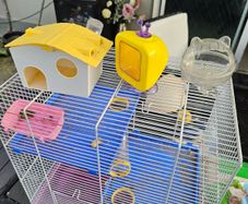 hamster cage
