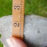 Vintage Mounted Huntsman Match Holder / Striker Image 7