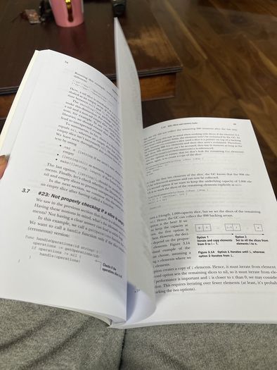 100 Go Mistakes and how to avoid them