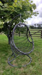 Choose Your Favourite Hanging Egg Swing!