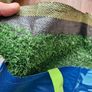 astroturf grass Image 7