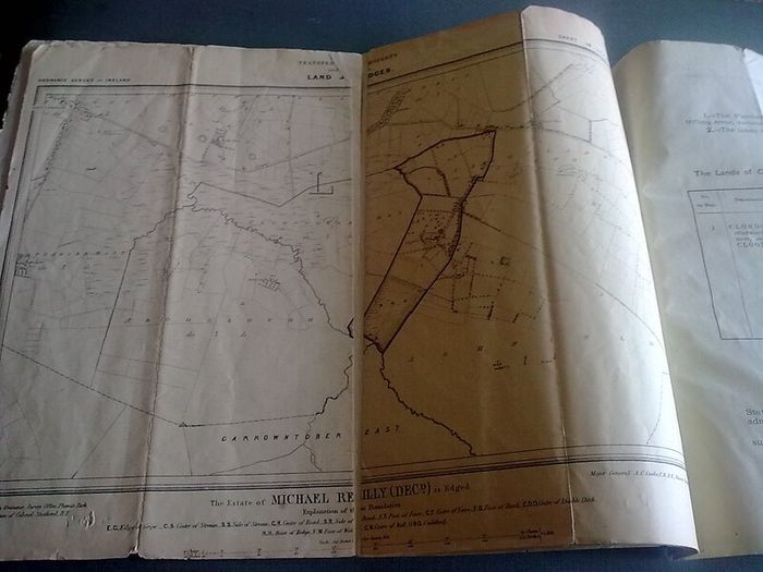 Rental particulars and conditions of sale of fee simple lands of Clondoyle County Galway 1882