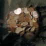 Lots of old coins Image 4