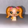 littlest pet shop (LPS) Maltese bundle! Image 6