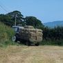Hay Image 4