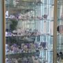 Glass Display Cabinets Image 3