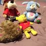 Musical teddies Image 2