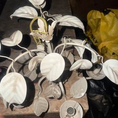 antique chandelier