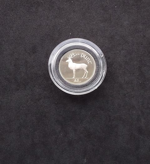 Official Irish Cupro-Nickel Proof, One Pound Coin - Boxed with Certificate