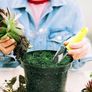 300g Artificial Moss - 10.6 Ounce Floral Decorative Fake Fresh Green Moss for Potted Plant Centerpieces, Terrariums, Decor, Life-Like Garden Lawn Grass Image 2