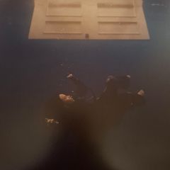 Vinyl - Billie Eilish Hit Me Hard And Soft