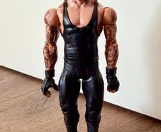 Wwe figure