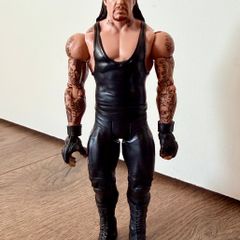 Wwe figure