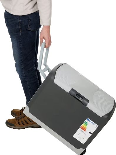 Electric cooler box