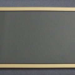 Nintendo Switch Lite Display Assembly