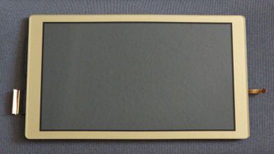 Nintendo Switch Lite Display Assembly