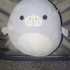 toy