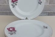 Beautiful Set of Six Large Dinner Plates by Arklow Pottery in the Very Popular and Collectable "Autumn Rose" Pattern