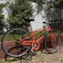 MBM Radonee Ladies Bike Image 2