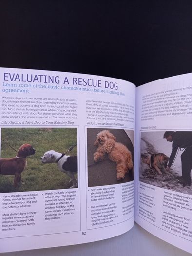 SALE! DOG CARE & TRAINING - A complete illustrated guide to adopting, house-training and raising a healthy dog