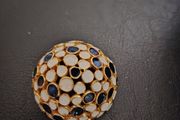 Ladies Brooch