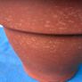 2 weathered plastic flower pots Image 7