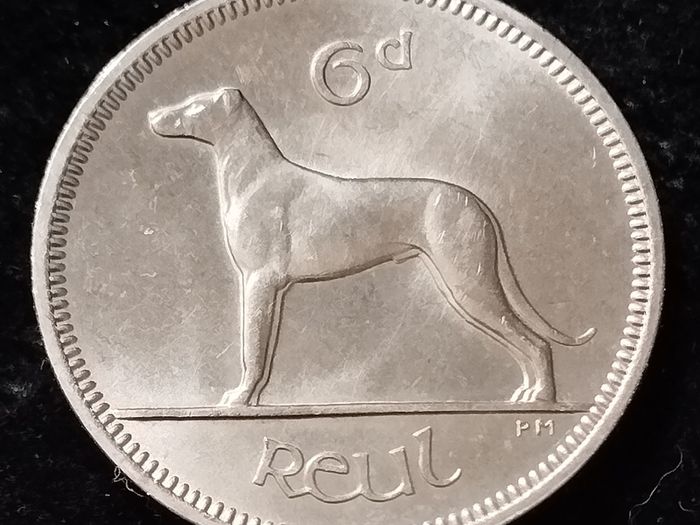 Ireland - 1966 - 6 Pence - UNC - KM.13a - [568]