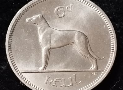 Ireland - 1966 - 6 Pence - UNC - KM.13a - [568]