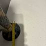 Grotesque Bird - Vincent by Cobridge Image 9