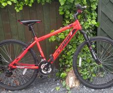Mountain bike