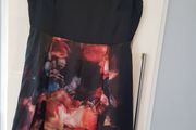 Ted Baker Dress worn once