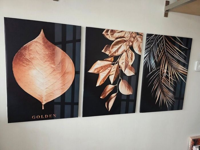 3 canvas framed 46x66cm each size