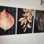 3 canvas framed 46x66cm each size Image 2