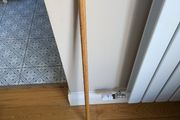 Walking Stick
