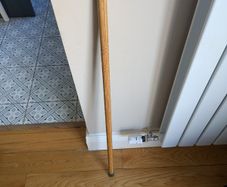 Walking Stick