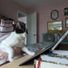 Kitty_Cat