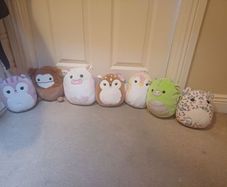 teddys