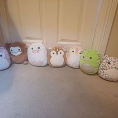 teddys