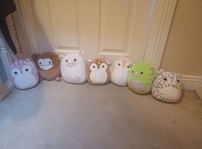 teddys
