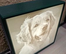Lithophane Lightbox 3d printed customisable