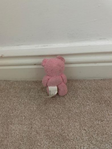 Rabbit teddy and a mini pink teddy