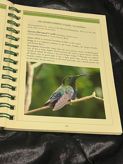The Bird-Life in Mustique in The Grenadines Michael Pace and Rob Speirs