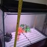 Fish Tank and Cabinet Image 7