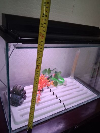 Fish Tank and Cabinet