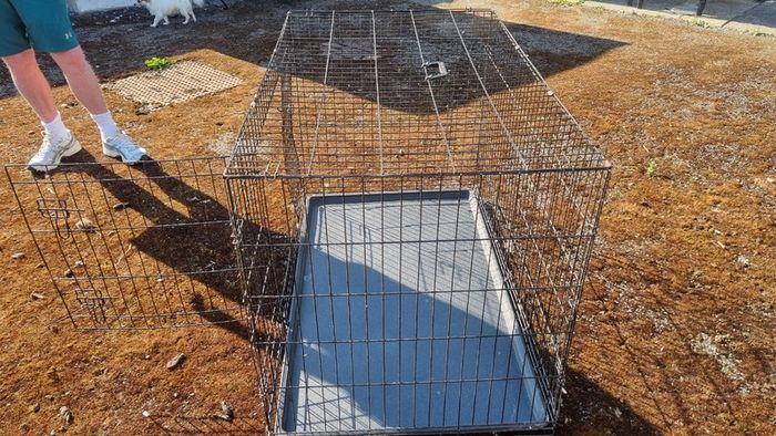 Dog cage